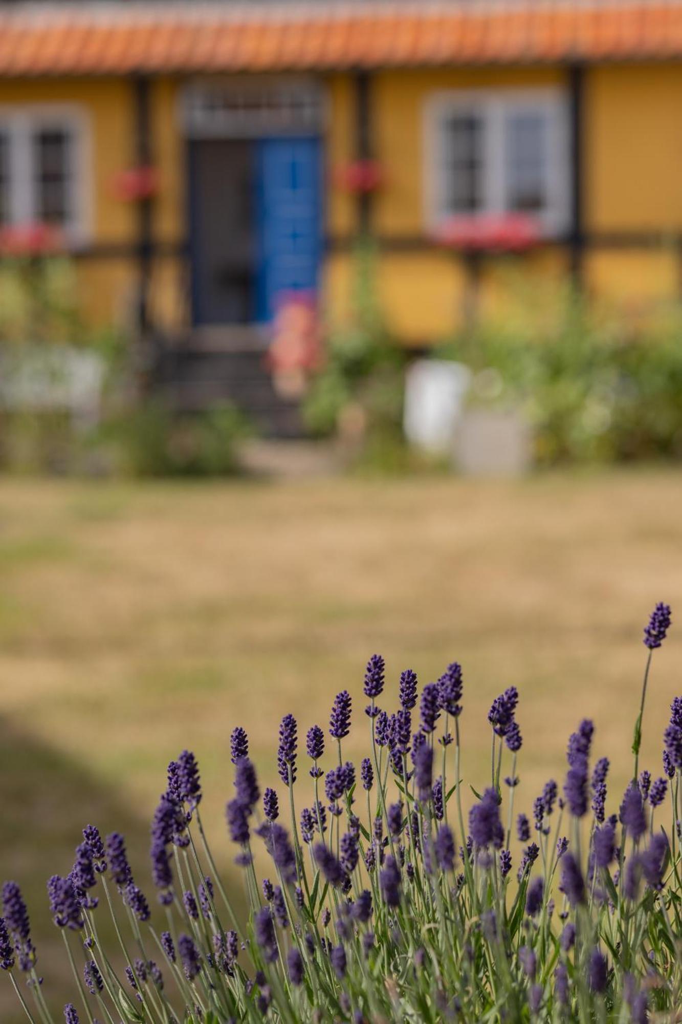 Pension Slaegtsgaarden Allinge-Sandvig Exterior photo